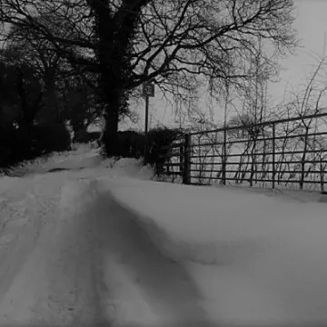 Andertons Lane4 (003)