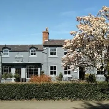 allium-by-mark-ellis-tattenhall_150620171029480080