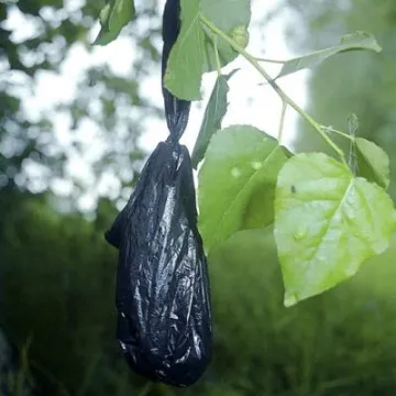 black-bag-hanging-M239991