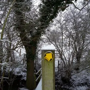 20190130_092434