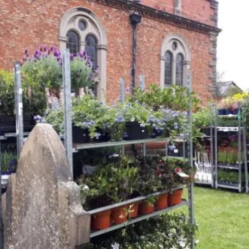 plantsale20190503_173250