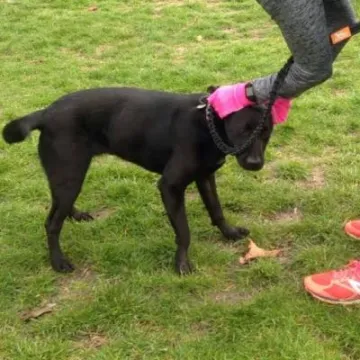 IMG-20190406-WA0000_1