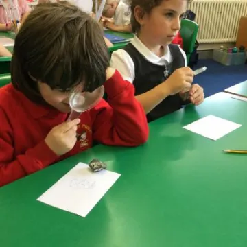 D7E66F72-EA9F-4320-84AC-A86F2BB17207