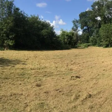Barn Field 2