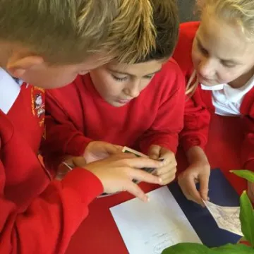 C5D00197-C899-44F4-987E-713BDFAC7C04