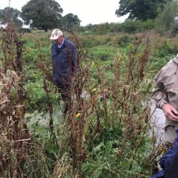 Mill Brook Flood Management