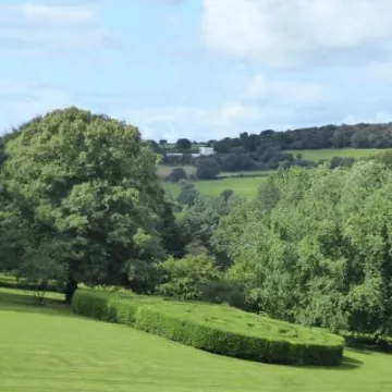 Foxhill Event – Privet Maze from Foxhill House