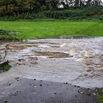 badger fiield 20191026_144438