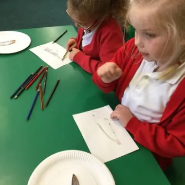 Image: 930E3C03-D4D3-4BD3-9C9D-958B55351E10