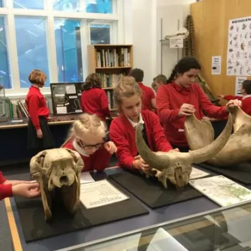 Image: 64040E89-81A5-411F-B9B7-511C90C6AAC6