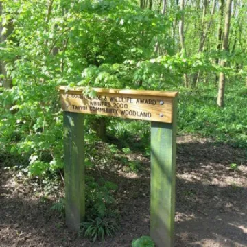 Woodland Walk (4)Img_7828