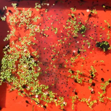 Image: 2A308C16-0A73-423C-A9D4-07E4FFD931C0