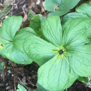 DFD29AD4-A2C3-4B88-9D1B-112884651A60