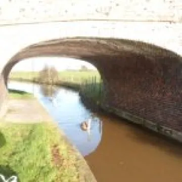 Litter Picking 2013 (8)