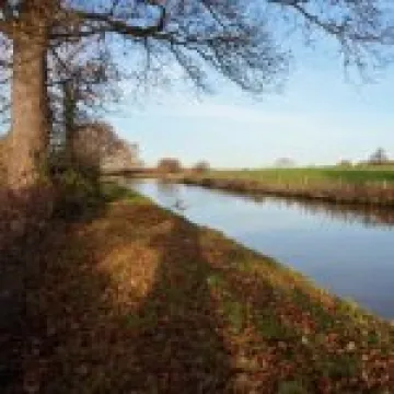 Litter Picking 2013 (3)