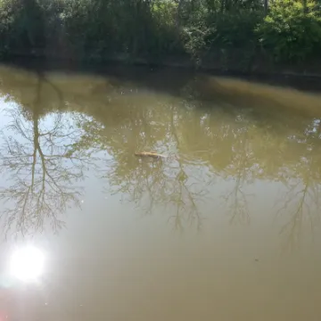 Image: 20200424_102005