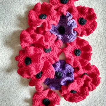 Helen's poppies