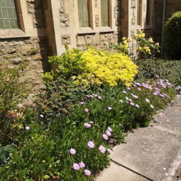 Trinity Prestatyn Gardens