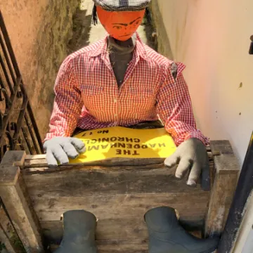 Image: 027 Museum Trust Old Village Custom 02