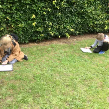 Image: 6BC319B0-5F49-42FE-A1EE-B745F37C21F5