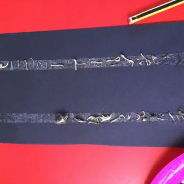 Image: 3F07267D-5660-4FD9-BC9B-F0AE1120753E