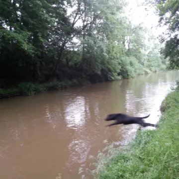 Image: 20200619_093329_10