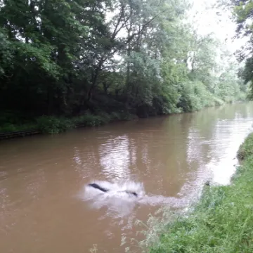 Image: 20200619_093329_12