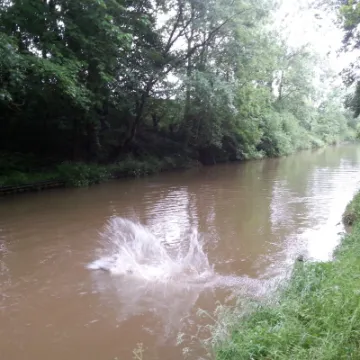 Image: 20200619_093329_13