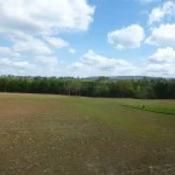 P1010611