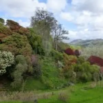 P1010389