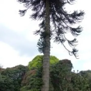 P1010572