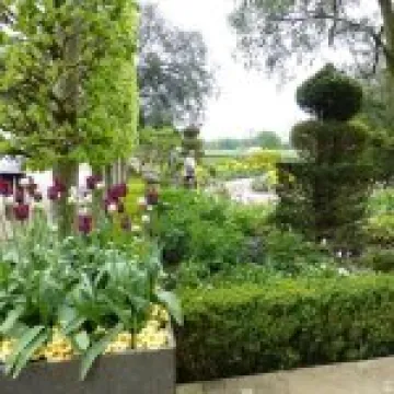 P1010560