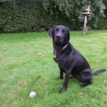 Image: 20200828_090132