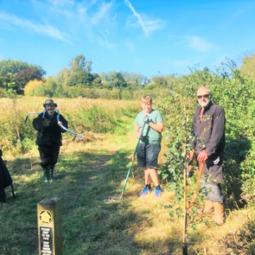 Digging holes &ndash; Sept 2020