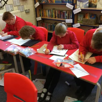 DD50FC48-0C4C-4CF4-8DB2-123C3E81C494