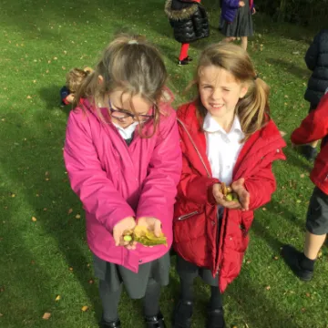 B3C30972-2F31-4E3E-ABB1-F529C8D4C3E2