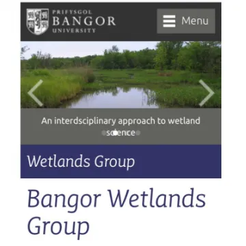 wetlands