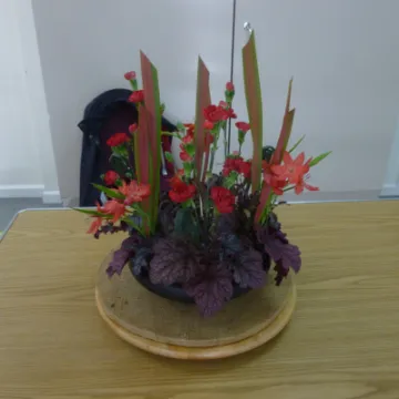 TFC October 2020 P1030920