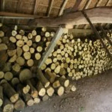 IMG 4756