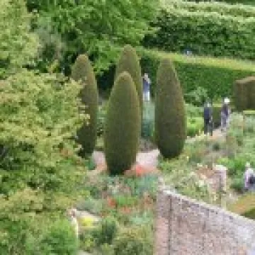 IMG 4674