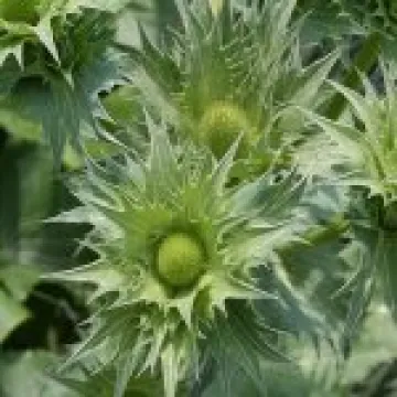 20080617 0006