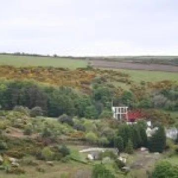 20070517 0071