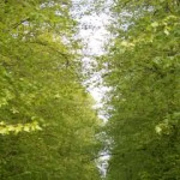 20060510 0047