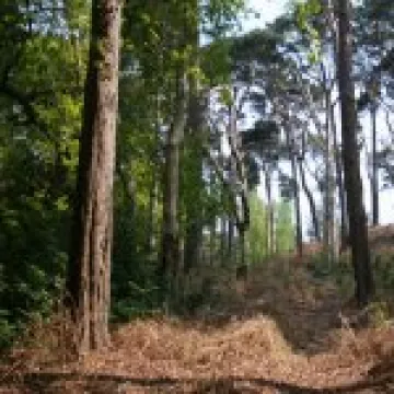 20060511 0068