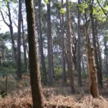 20060511 0067