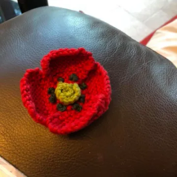 Image: 2021-02-19 Louise poppy