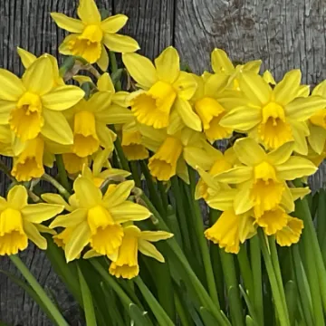 Image: 5223FE0D-E0D3-4F57-BC06-83E573AED07A