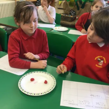 Image: 47E2E9F3-8BB0-4878-95B8-58B7255E4044