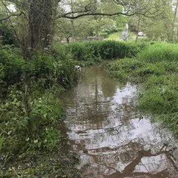 flood5