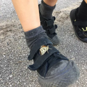 Image: 8F74B569-BB05-44CA-A9C4-EE0A254AA39F